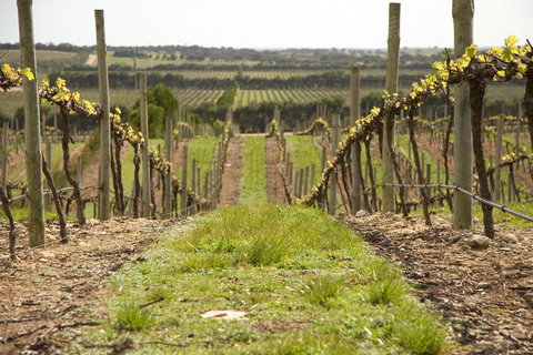 Lakeview Motel And Apartments - Hotels Melbourne 37