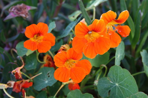 Lakeview Motel And Apartments - Hotels Melbourne 20