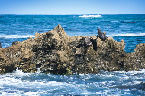 Lakeview Motel And Apartments - Hotels Melbourne 24