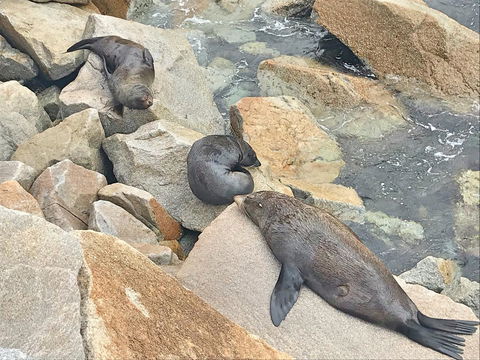 Penthouse On The Promenade - Hotels Melbourne 17