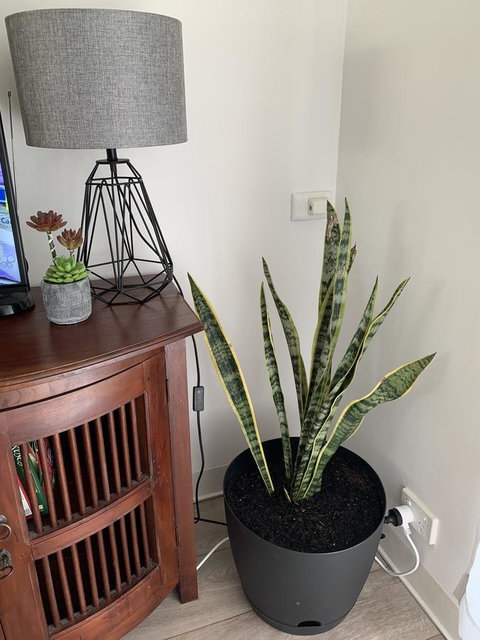 Sunshine Four - Hotels Melbourne 2