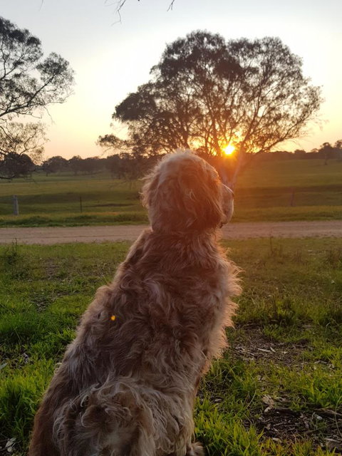 Pennys Road - Hotels Melbourne 7