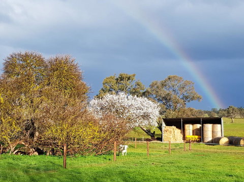Pennys Road - Hotels Melbourne 18