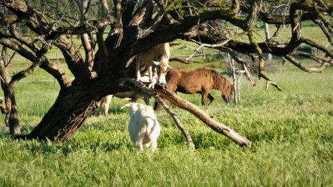 Pennys Road - Hotels Melbourne 8