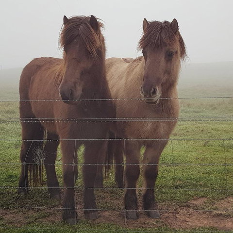 Pennys Road - Hotels Melbourne 9