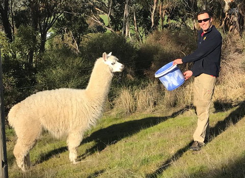 Cabernet Cottage - Hotels Melbourne 15