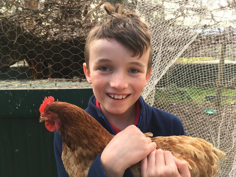 Cabernet Cottage - Hotels Melbourne 14