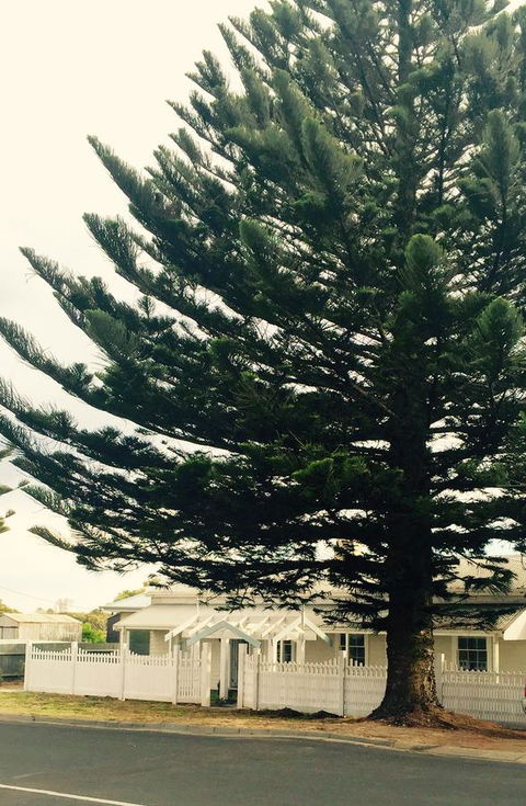 Railway Cottage In Beachport - Hotels Melbourne 13