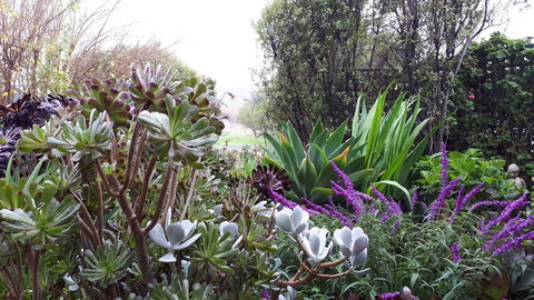 Linger Longer Vineyard - Hotels Melbourne 15