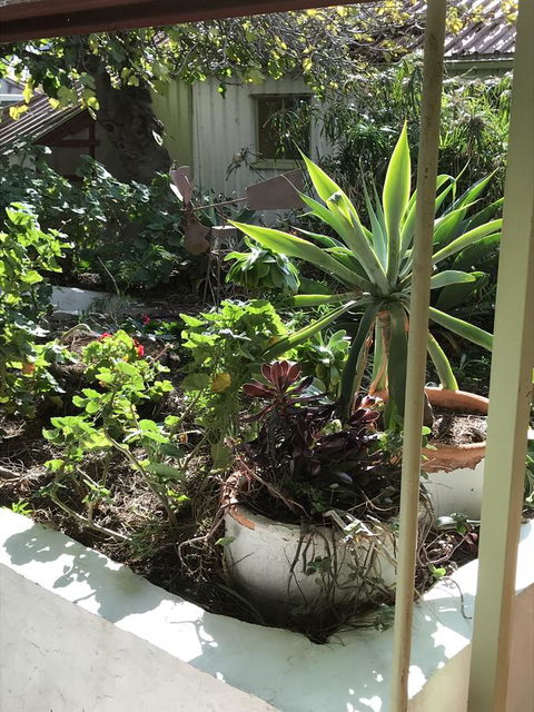 Cosy Nook - Hotels Melbourne 19