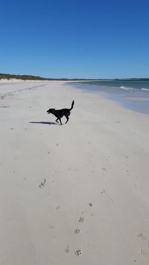 Cosy Nook - Hotels Melbourne 39