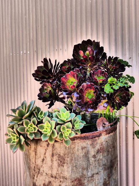 Andy\'s Accommodation - Hotels Melbourne 13