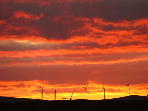 Andy\'s Accommodation - Hotels Melbourne 11