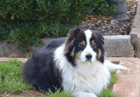 Andy\'s Accommodation - Hotels Melbourne 17