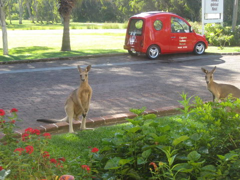 Aston Motel Yamba - Hotels Melbourne 6