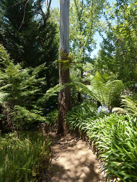 Aldgate Creek Cottage Bed And Breakfast - Hotels Melbourne 27