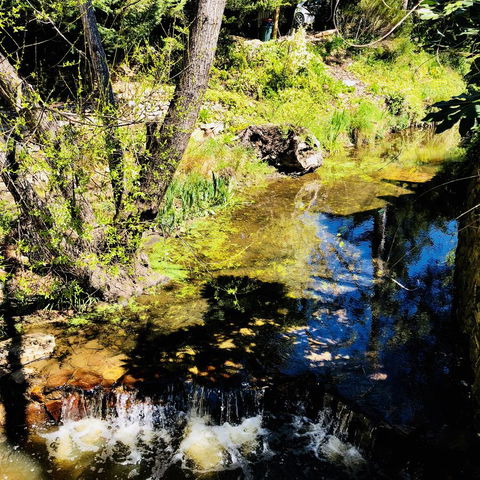 Aldgate Creek Cottage Bed And Breakfast - Hotels Melbourne 22