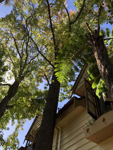 Aldgate Creek Cottage Bed And Breakfast - Hotels Melbourne 8