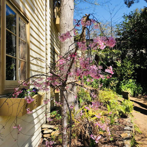 Aldgate Creek Cottage Bed And Breakfast - Hotels Melbourne 19