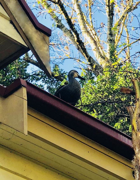 Aldgate Creek Cottage Bed And Breakfast - Hotels Melbourne 26