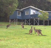 Blue House Denmark - Hotels Melbourne