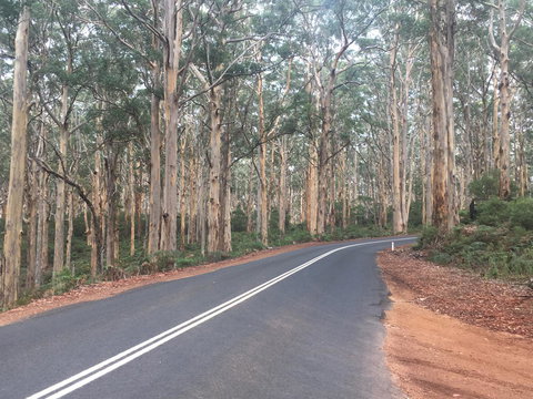 Bella Bali Gardens - Hotels Melbourne 29