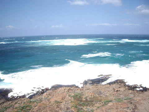 Bella Bali Gardens - Hotels Melbourne 30