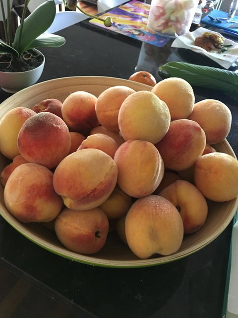 Bella Bali Gardens - Hotels Melbourne 27