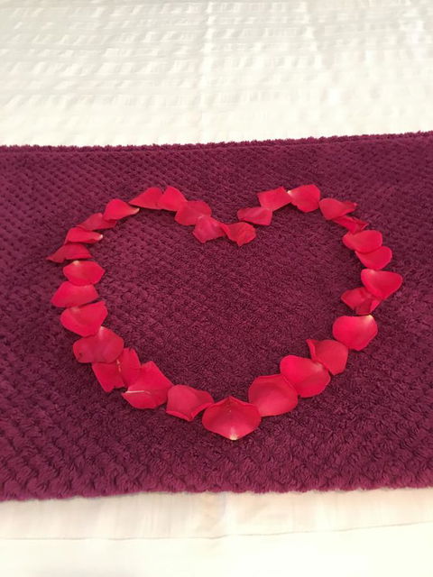 Nelson Bay Bed & Breakfast - Hotels Melbourne 4