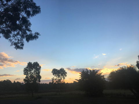 Junee Motor Inn - Hotels Melbourne 26