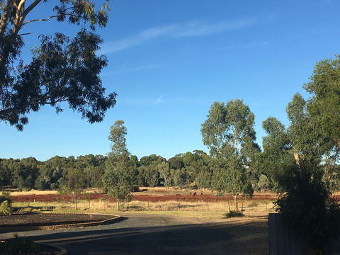 Junee Motor Inn - Hotels Melbourne 24