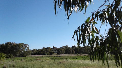 Junee Motor Inn - Hotels Melbourne 8