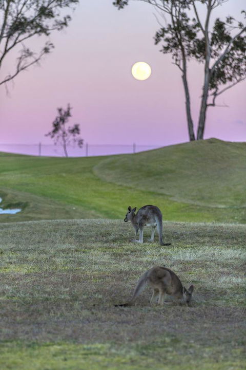 Oaks Cypress Lakes Resort - Hotels Melbourne 28