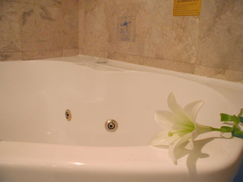Novotel Sydney Brighton Beach - Hotels Melbourne 11