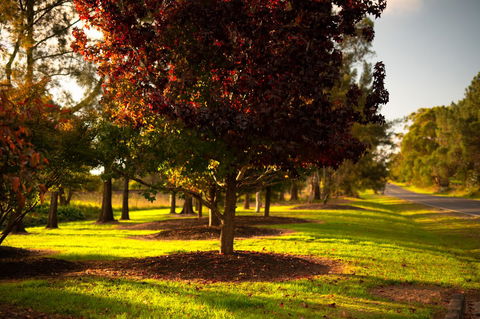 Bundanoon Country Inn Motel - Hotels Melbourne 20