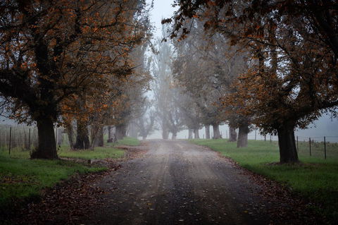 Bundanoon Country Inn Motel - Hotels Melbourne 17