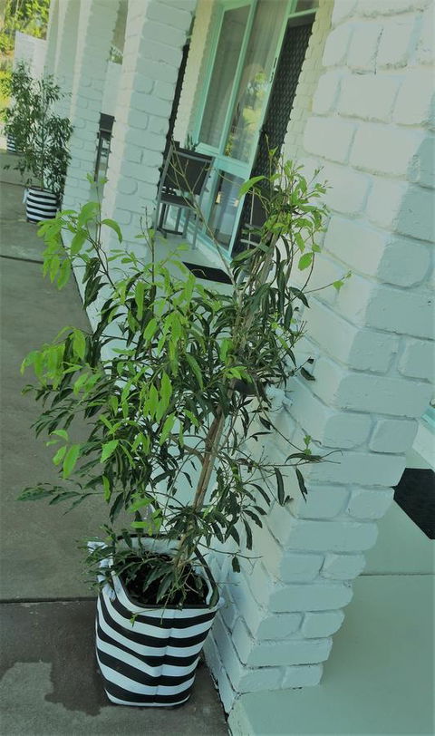 Mulwala Resort - Hotels Melbourne 16