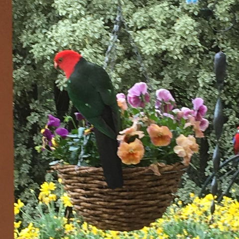 The Best Exotic Magnolia Cottage - Hotels Melbourne 32