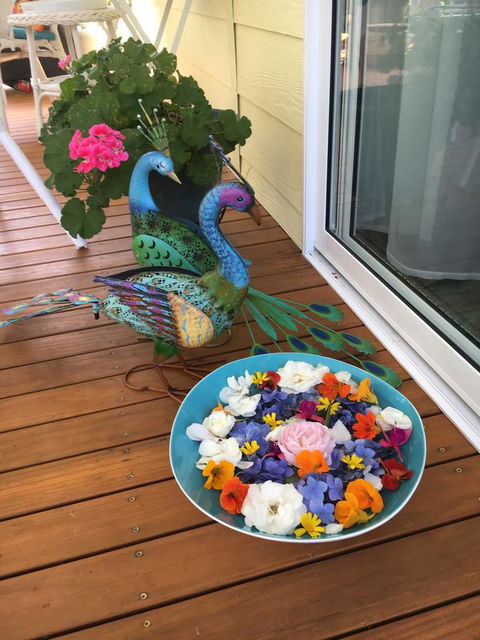 The Best Exotic Magnolia Cottage - Hotels Melbourne 8