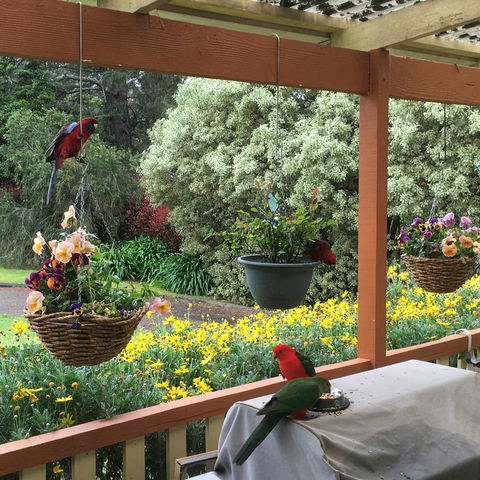 The Best Exotic Magnolia Cottage - Hotels Melbourne 33