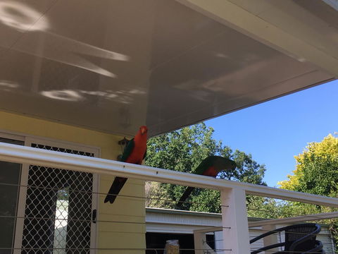 The Best Exotic Magnolia Cottage - Hotels Melbourne 11