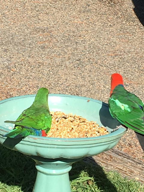 The Best Exotic Magnolia Cottage - Hotels Melbourne 12