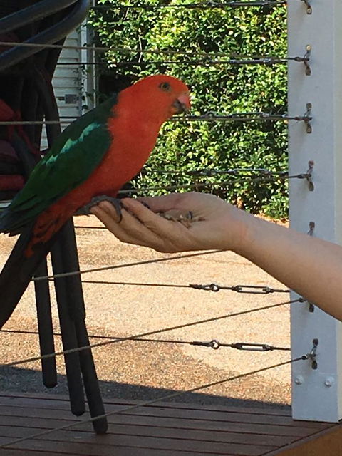 The Best Exotic Magnolia Cottage - Hotels Melbourne 13