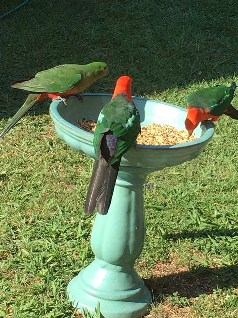 The Best Exotic Magnolia Cottage - Hotels Melbourne 10