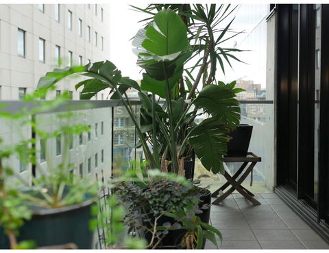 Urban Loft Close To Sydney Hot Spots - Hotels Melbourne 11