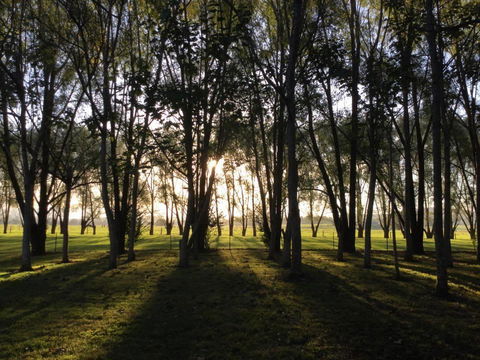 Moruya Motel - Hotels Melbourne 39