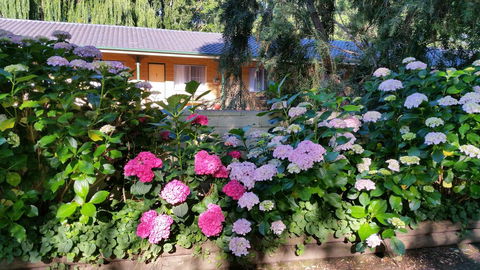 Moruya Motel - Hotels Melbourne 28