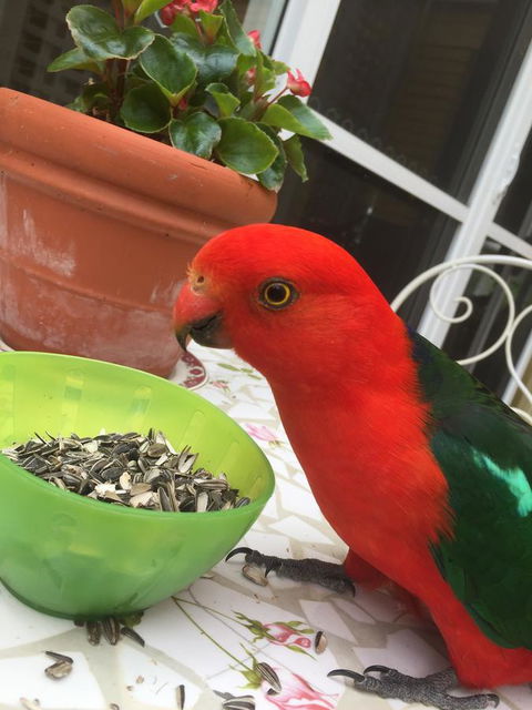 Bundanoon Lodge - Hotels Melbourne 5