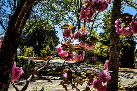 Bundanoon Lodge - Hotels Melbourne 3