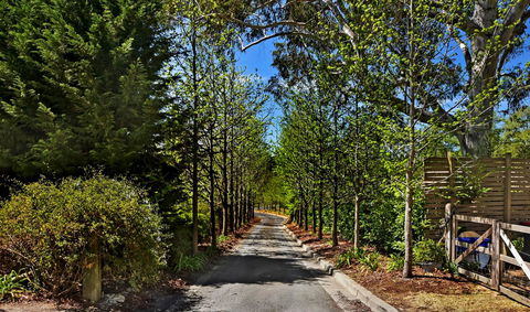 Bundanoon Lodge - Hotels Melbourne 21